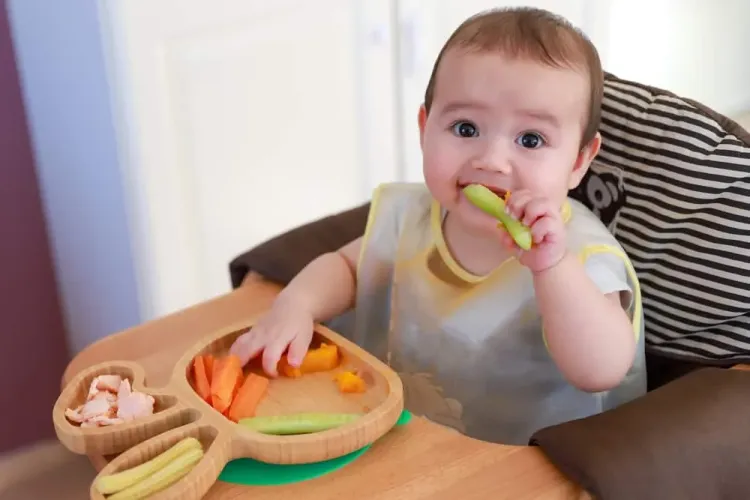 What is Baby Led Weaning?